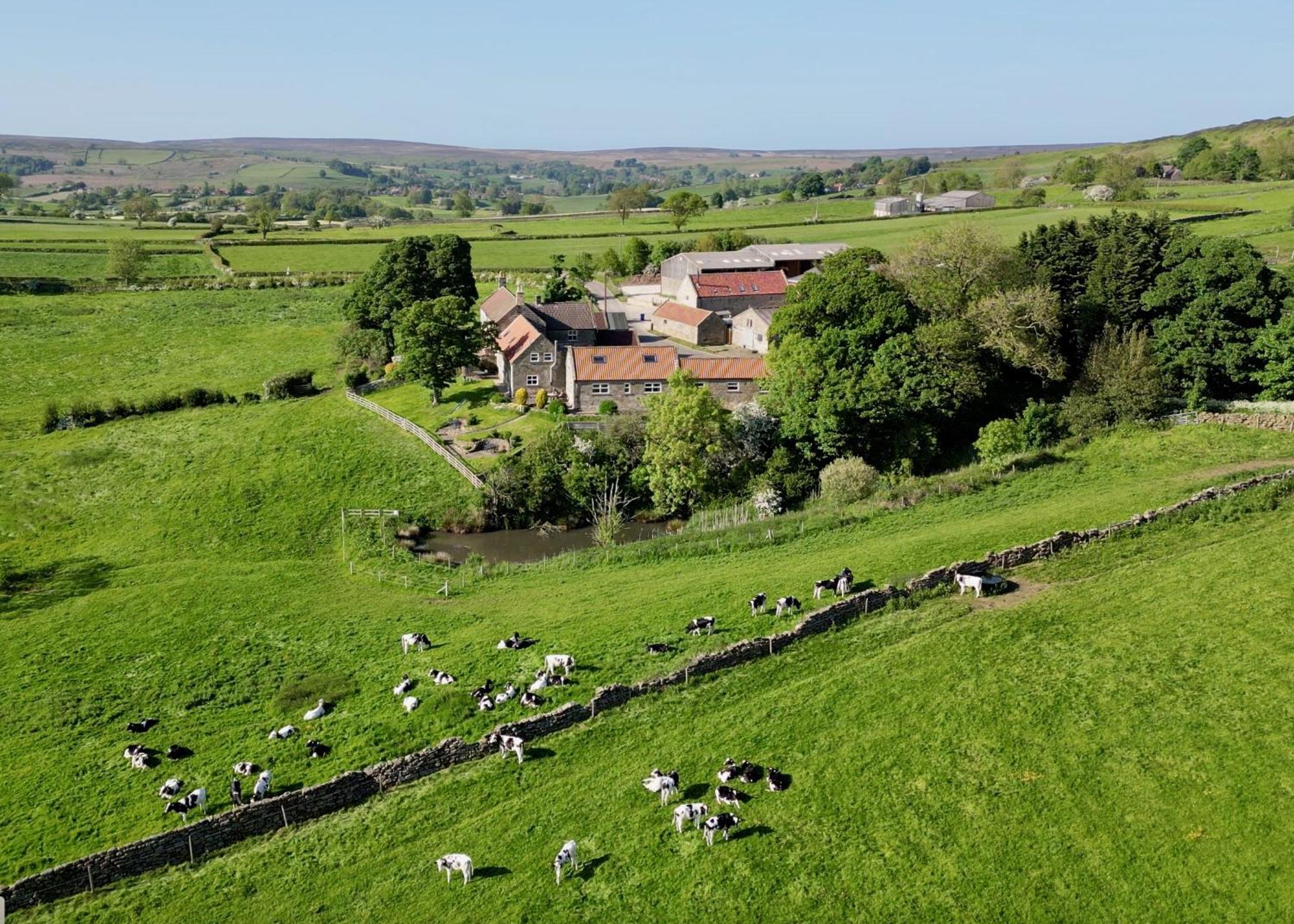 Church House Farm Danby Exterior photo